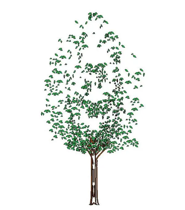 3d Revit Tree 7metres high
