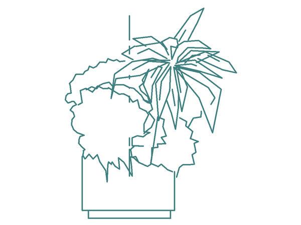 Planting