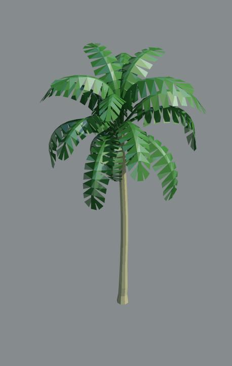 A_palm2