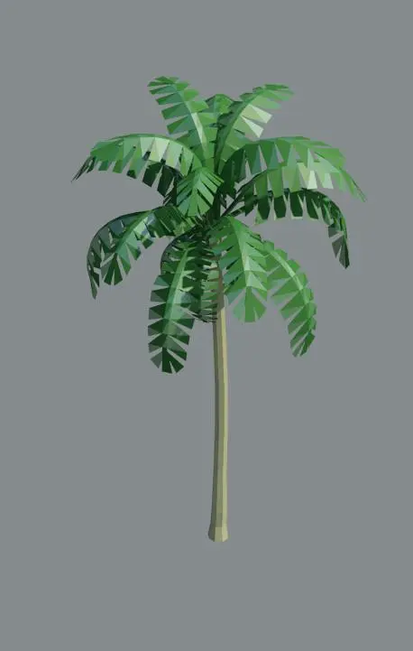 A_palm2