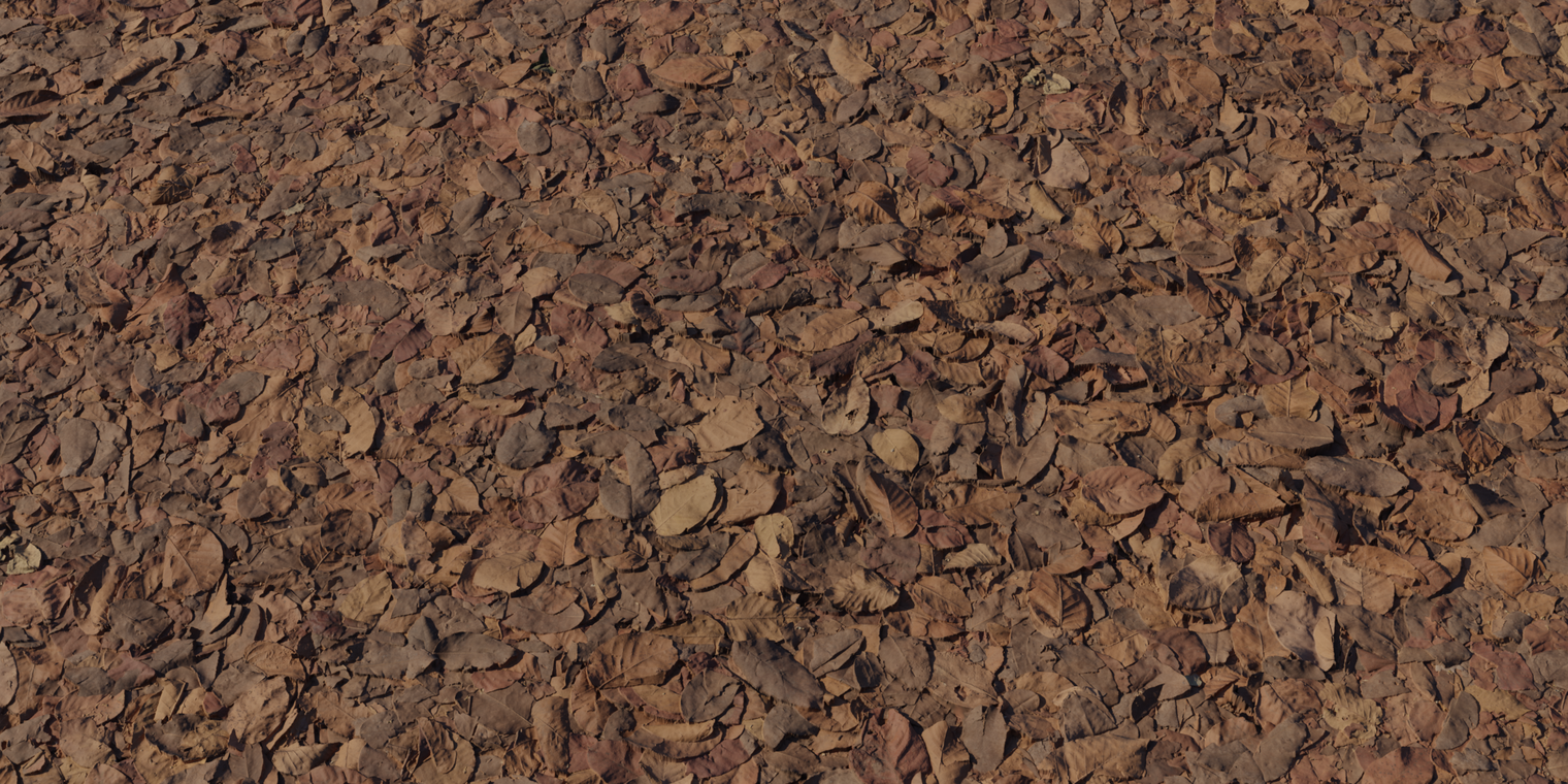 Dry Decay Leaves