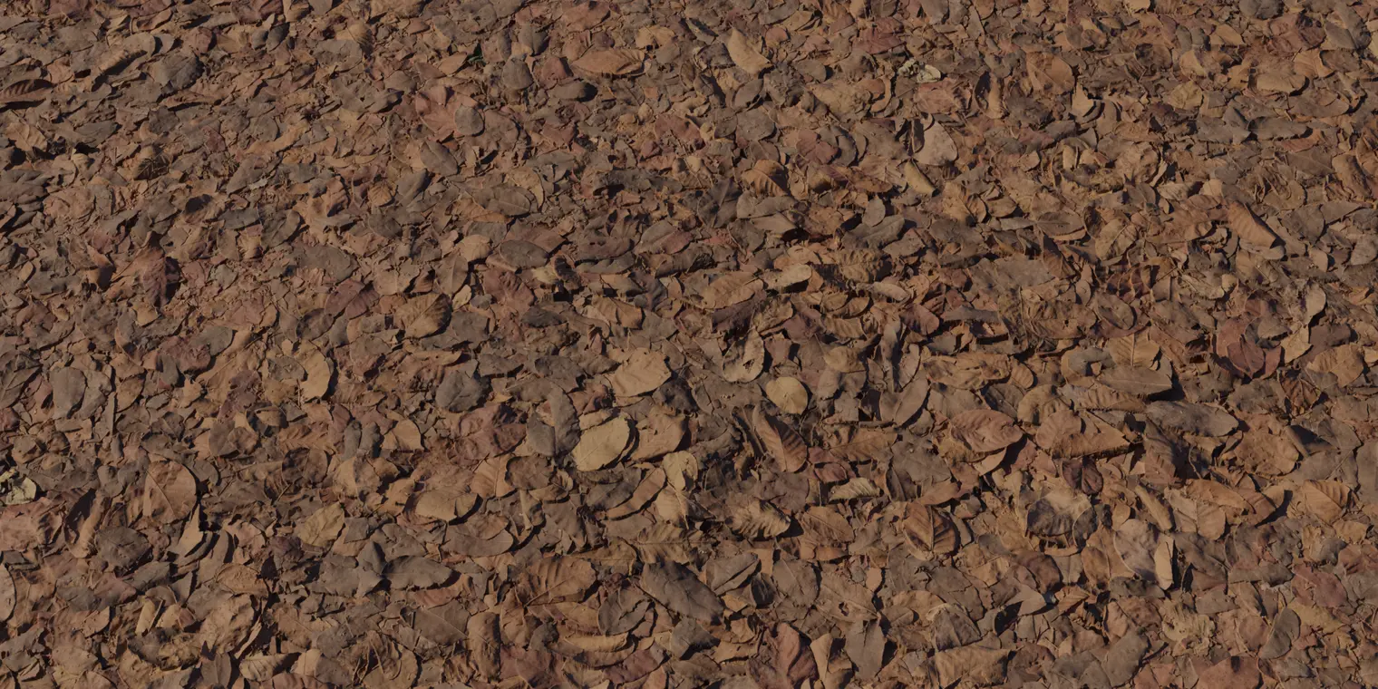 Dry Decay Leaves