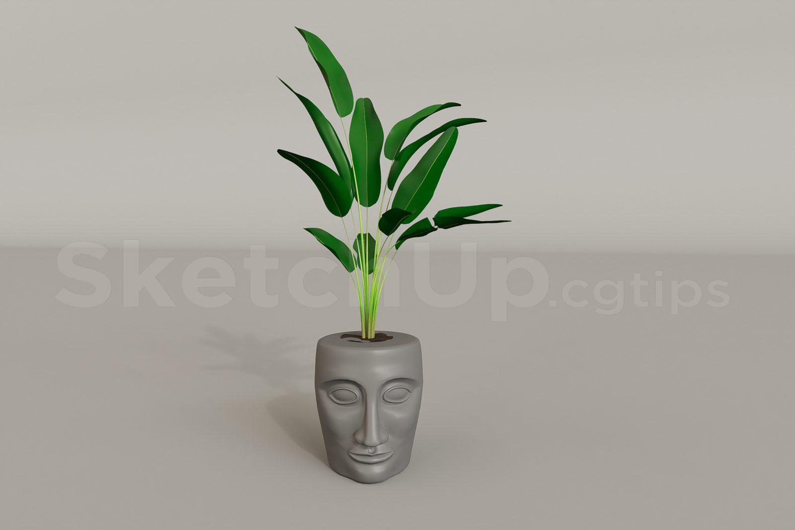 Plant