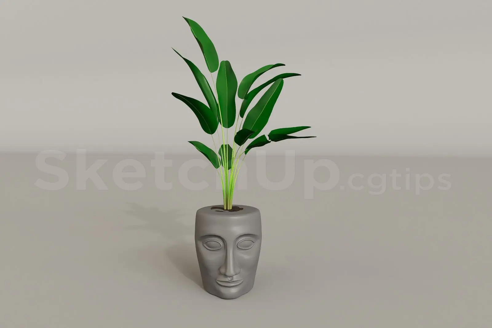 Plant