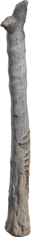 Dead Quiver Trunk