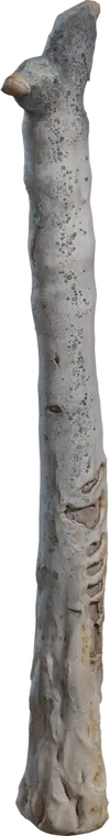 Dead Quiver Trunk
