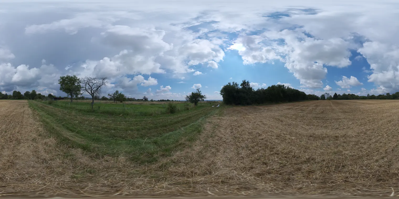 Dry Hay Field