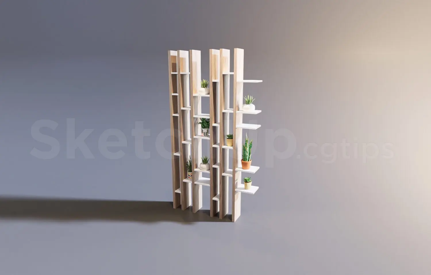 Decorative Shelves