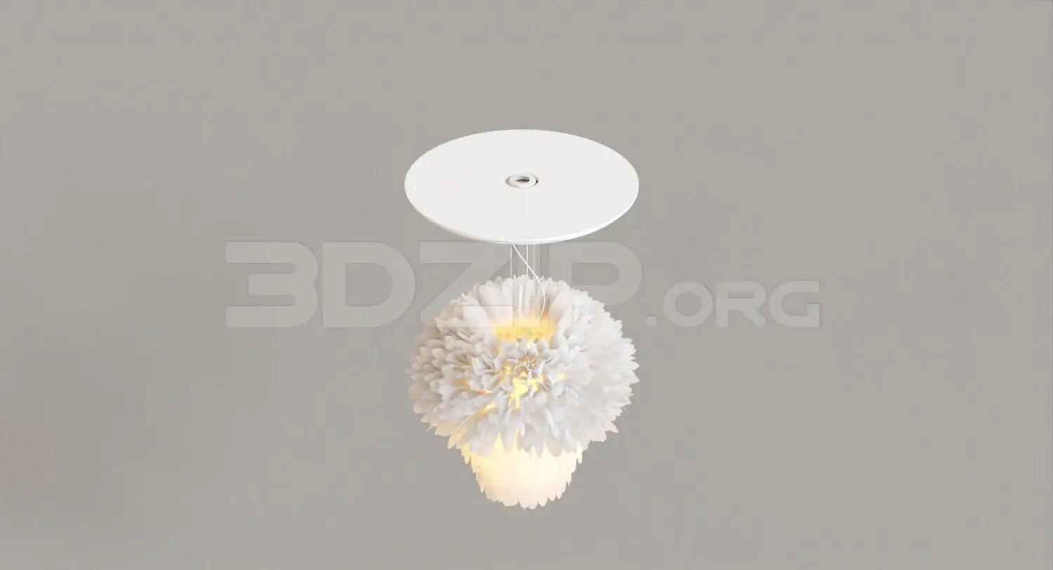 Ceiling Light