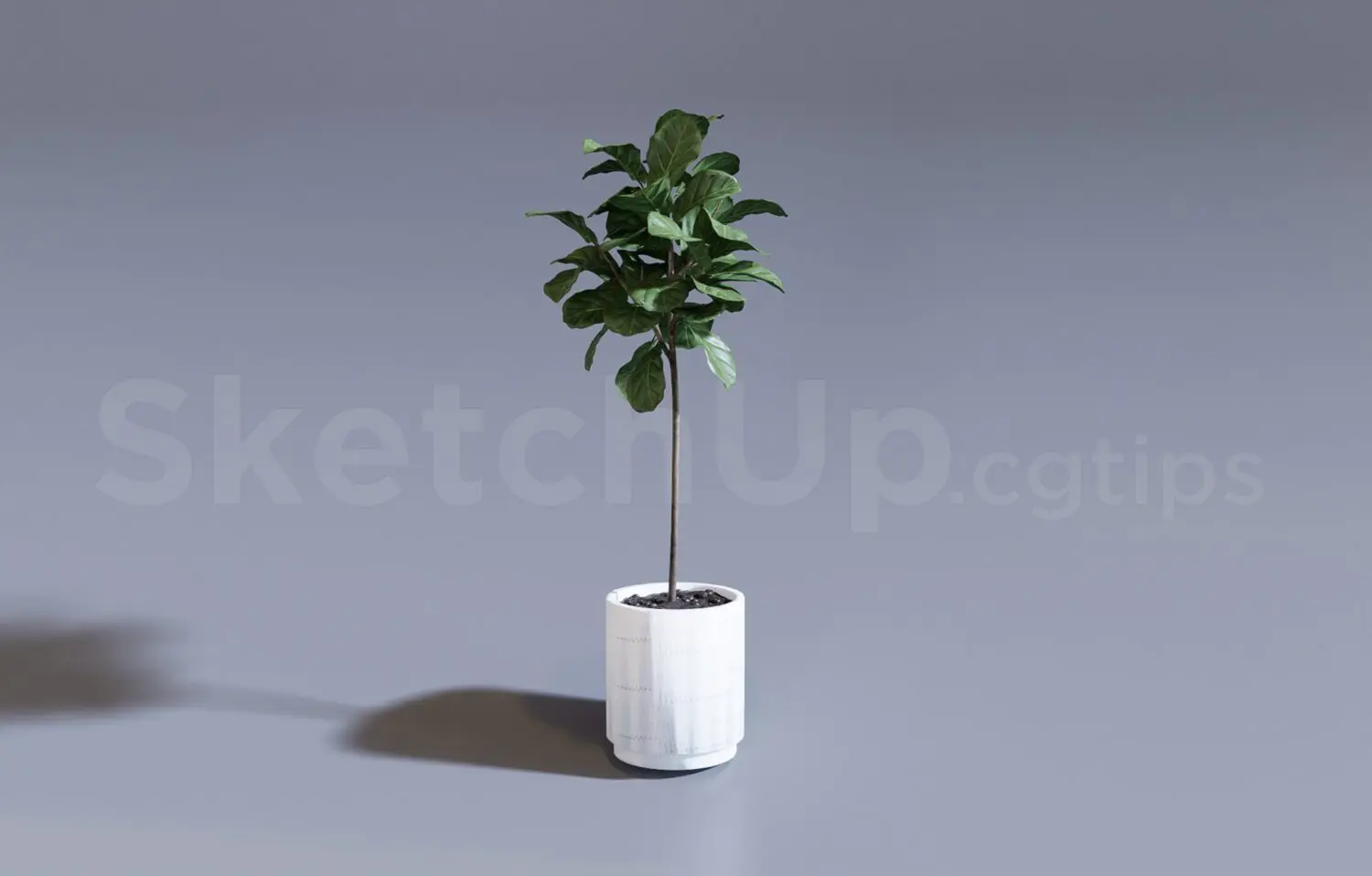 Plant — preview 1 (cgtips, CC0)