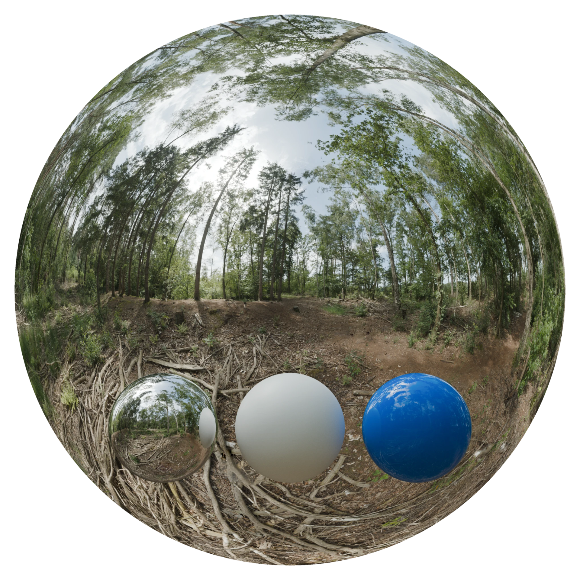 Day Environment HDRI 050
