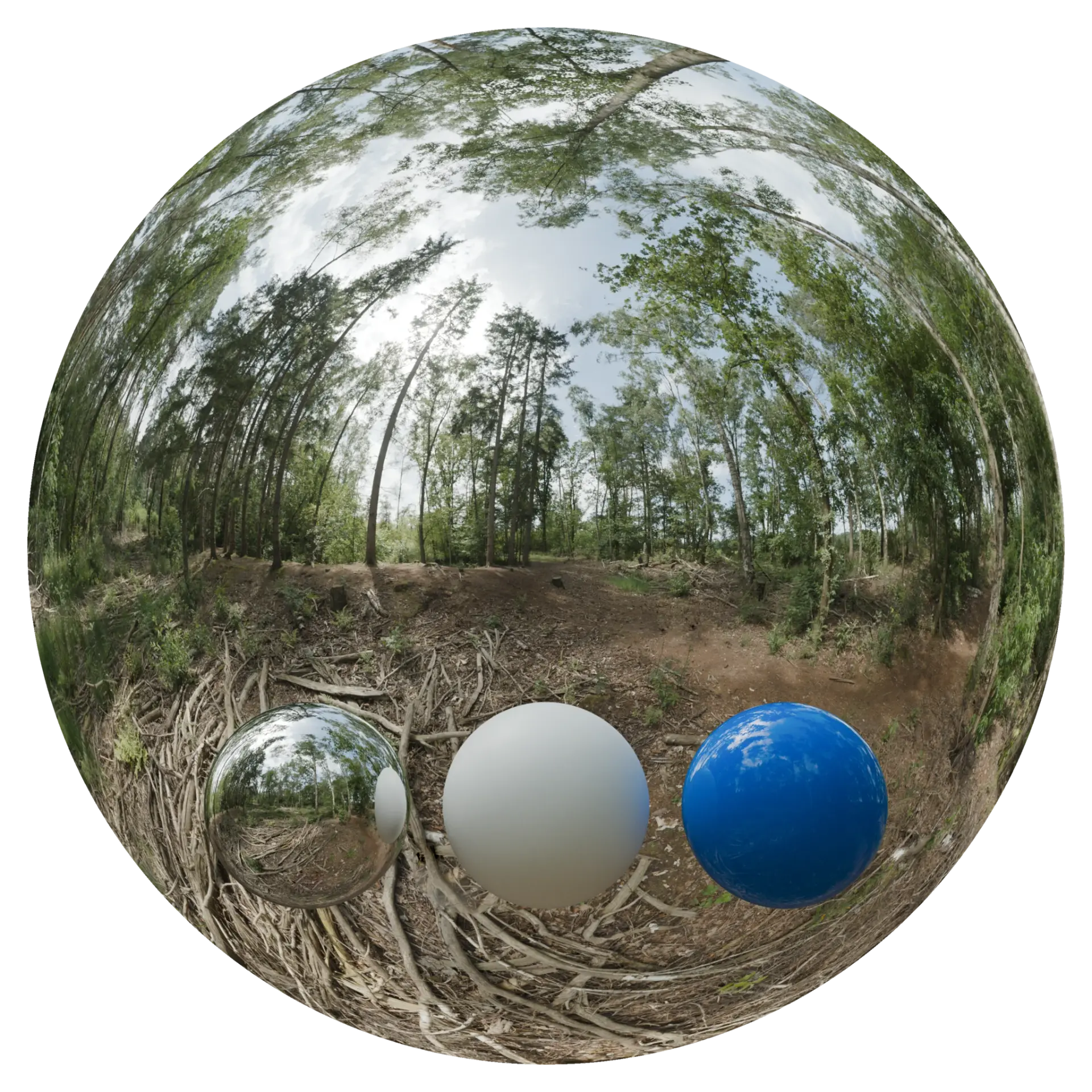 Day Environment HDRI 050 — preview 1 (ambientCG, CC0)