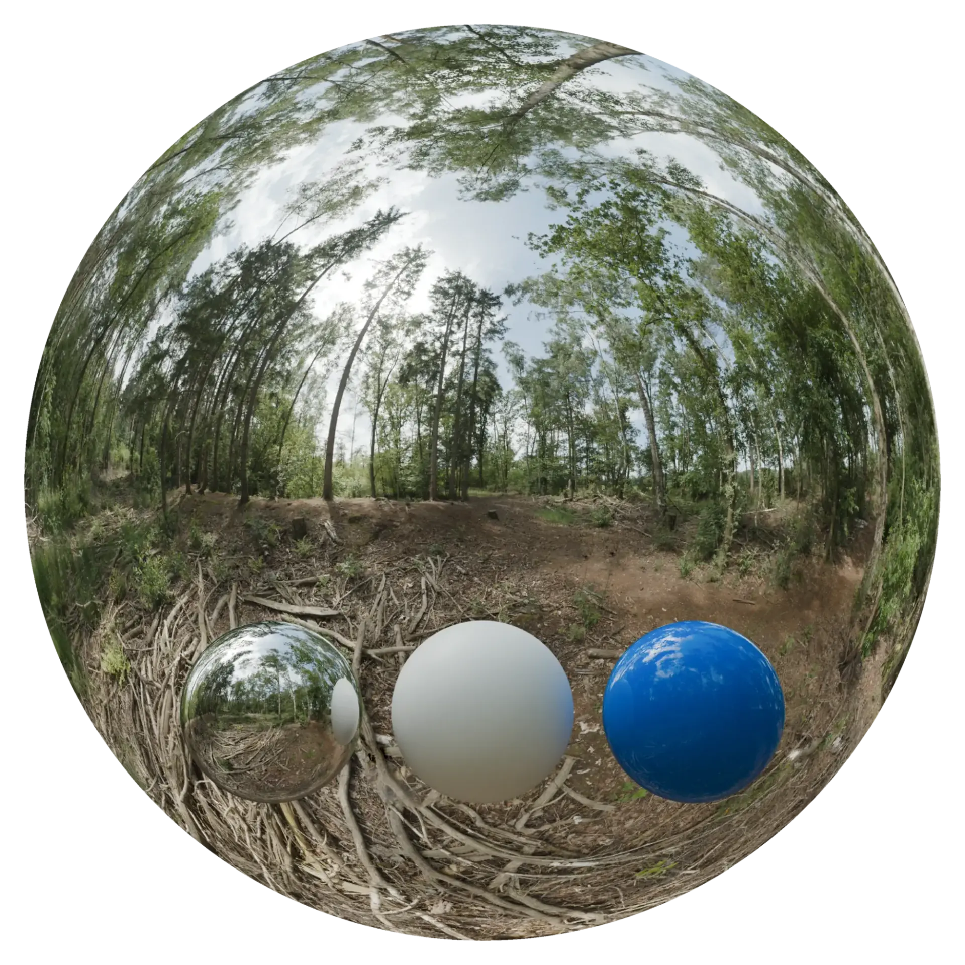 Day Environment HDRI 050