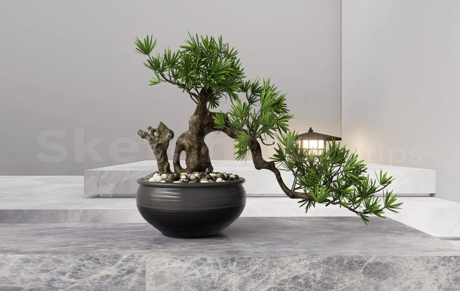 BonSai Tree