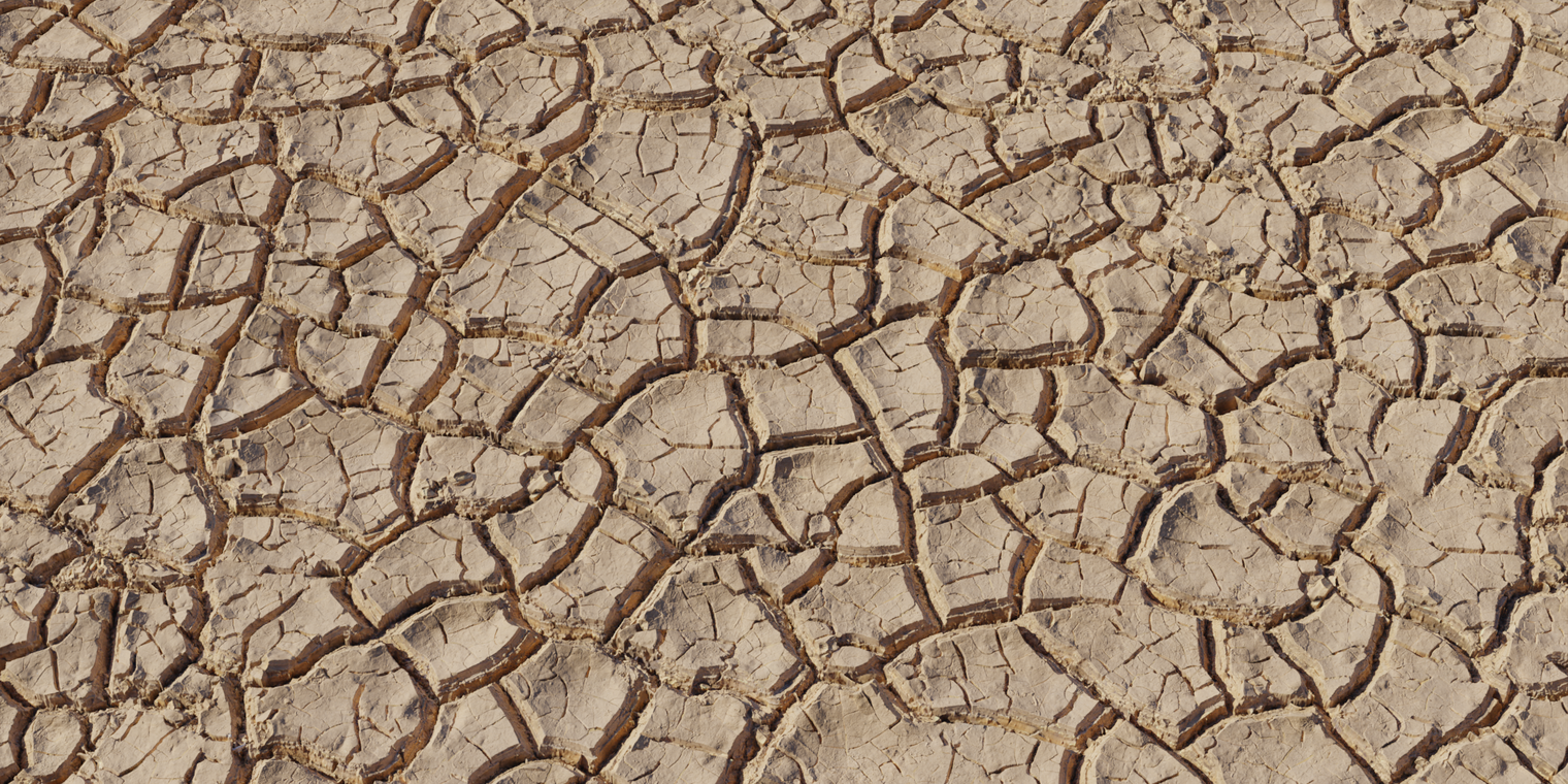 Mud Cracked Dry 3