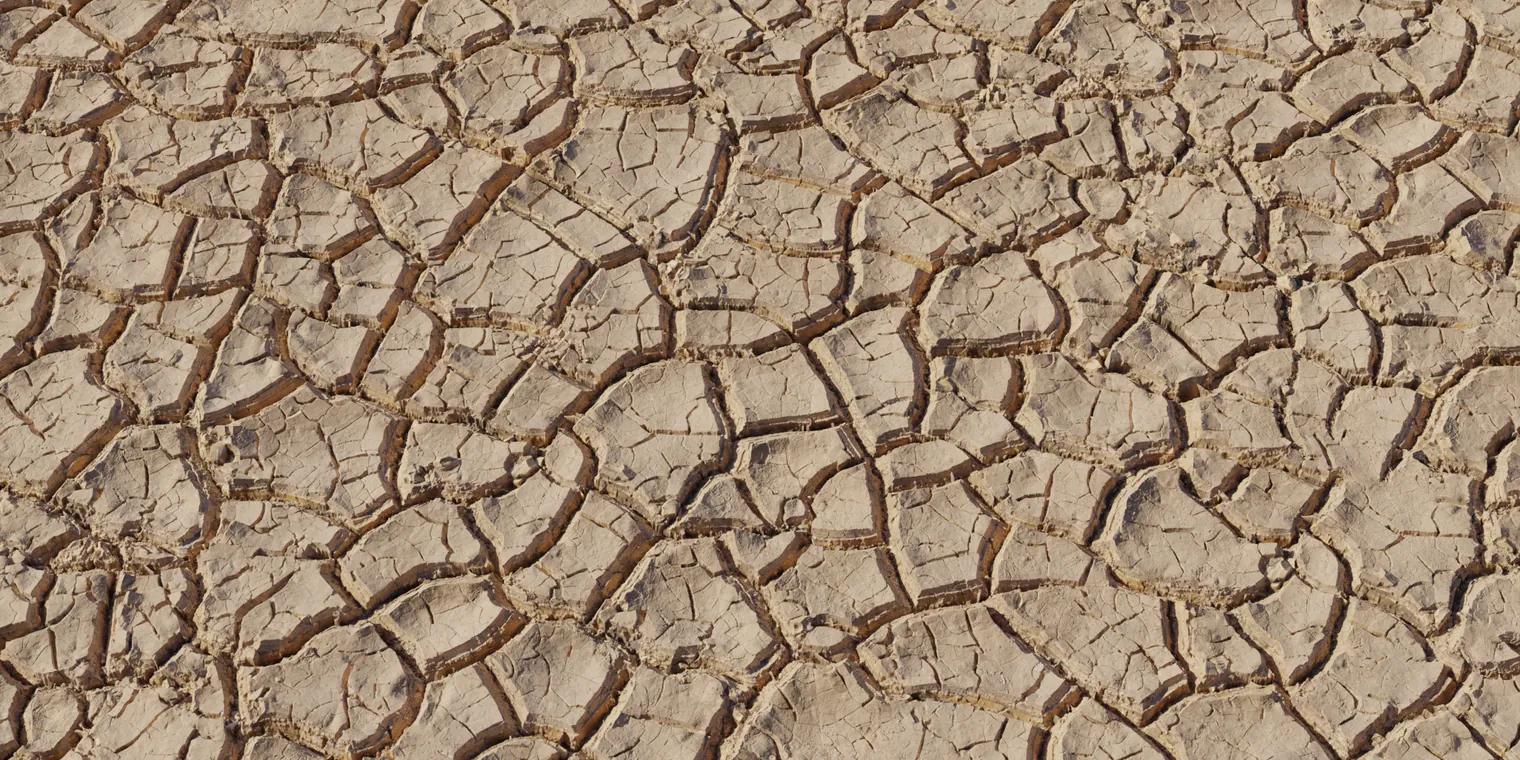 Mud Cracked Dry 3