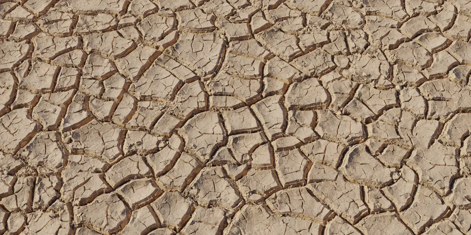 Mud Cracked Dry 3
