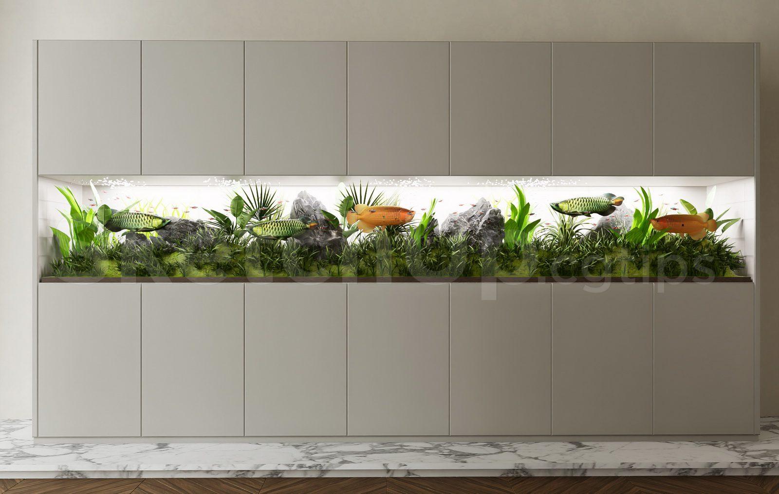 Aquarium Tank