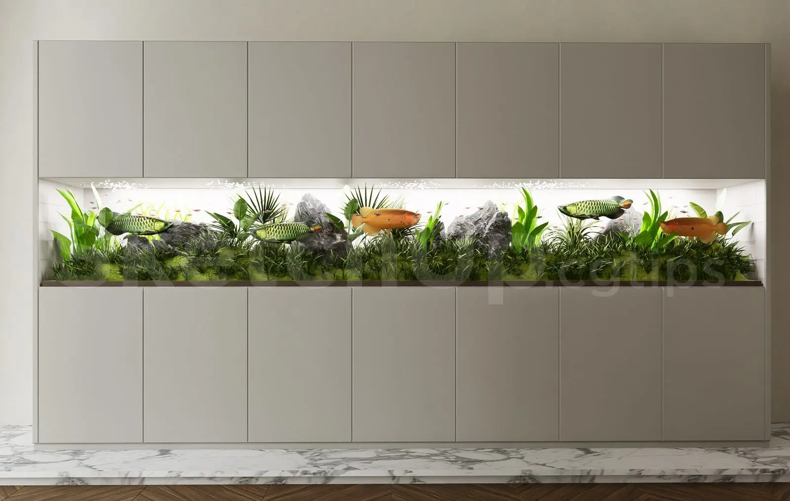 Aquarium Tank