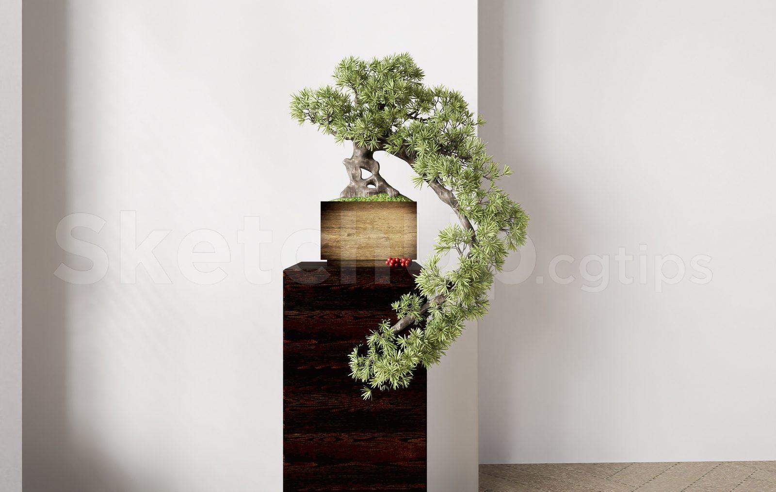 BonSai Tree