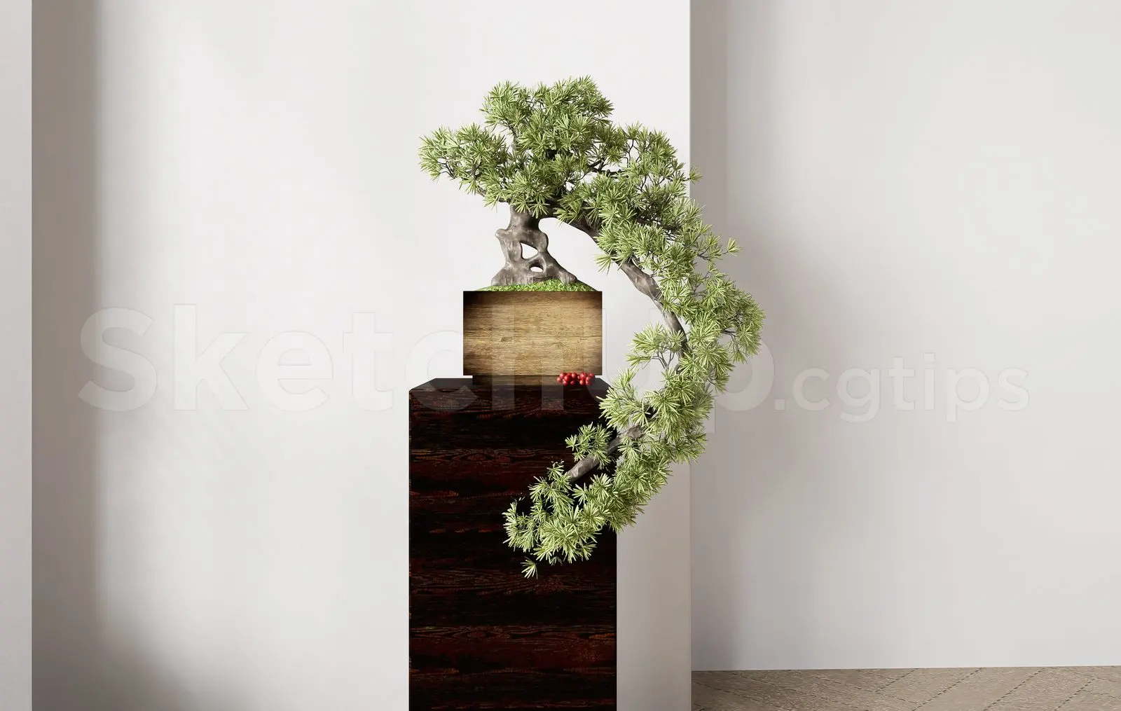 BonSai Tree