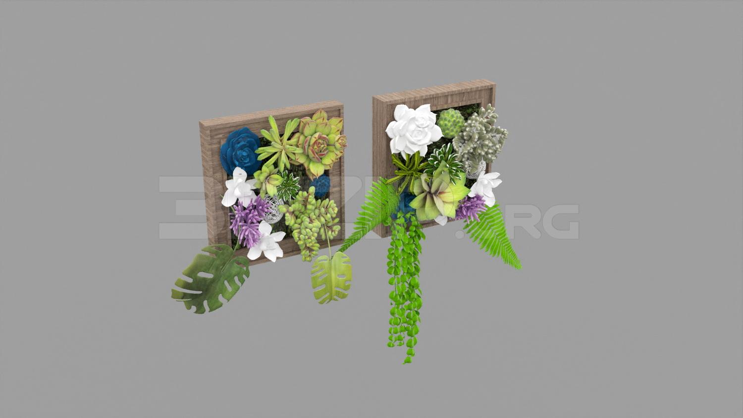 Plant