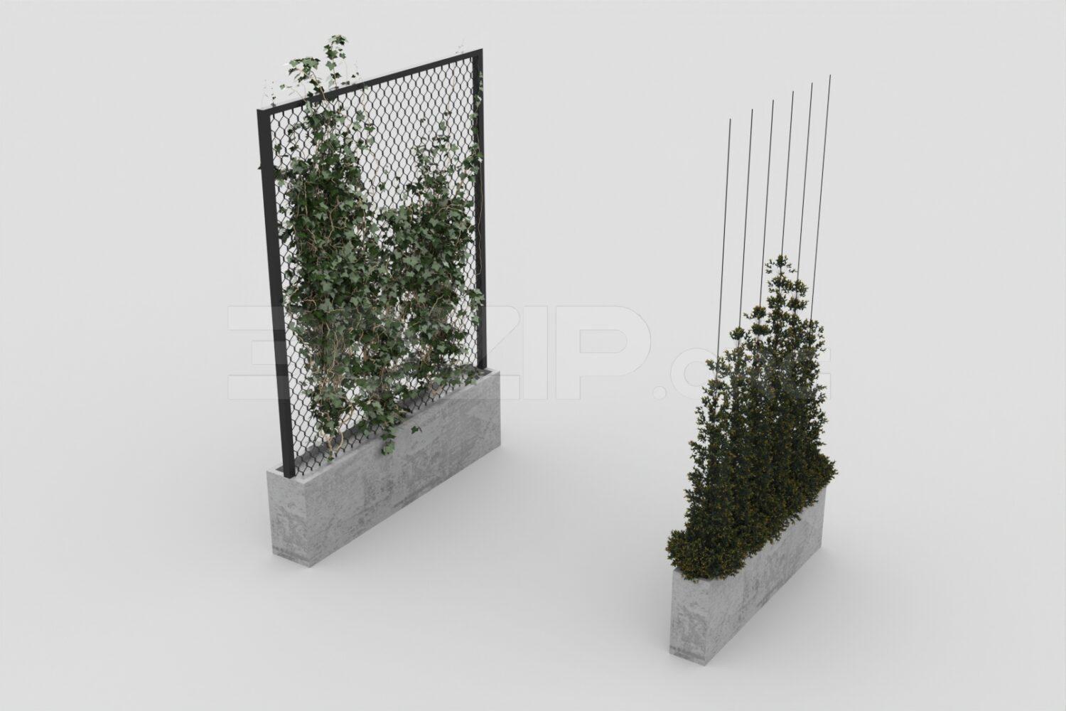 Plant