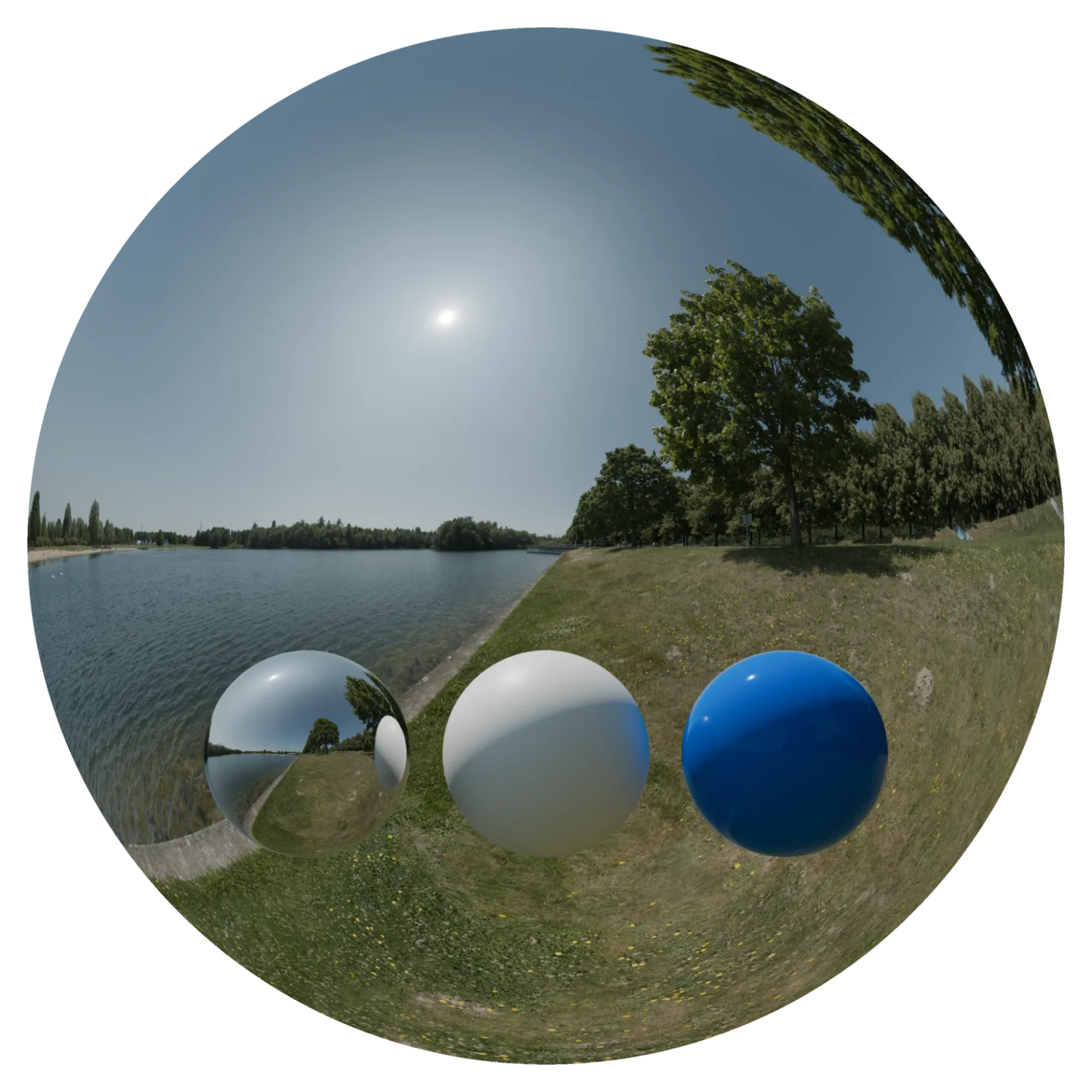 Day Environment HDRI 083