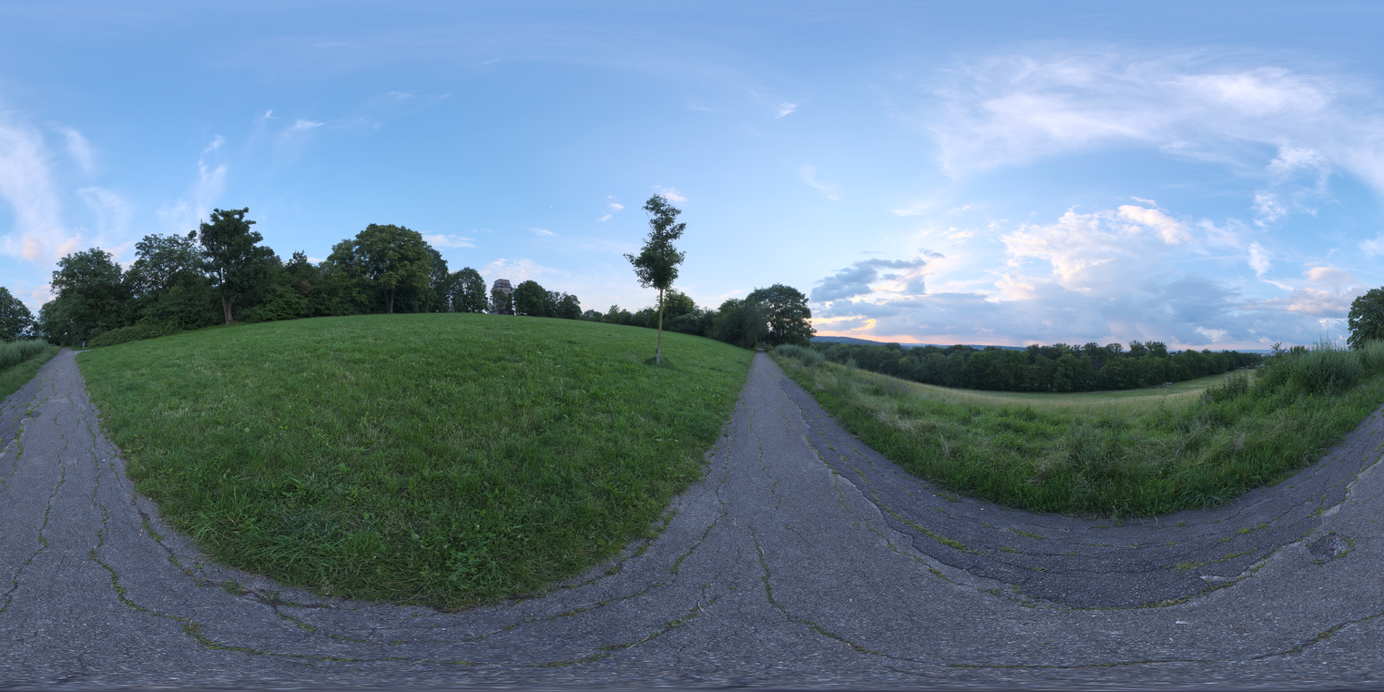 Bismarckturm Hillside