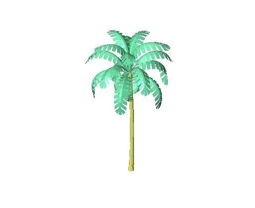 A_palm2