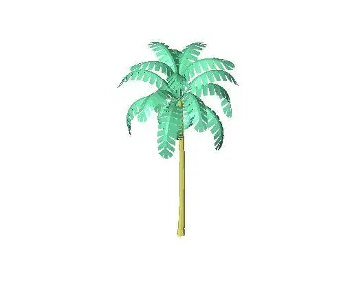 A_palm2