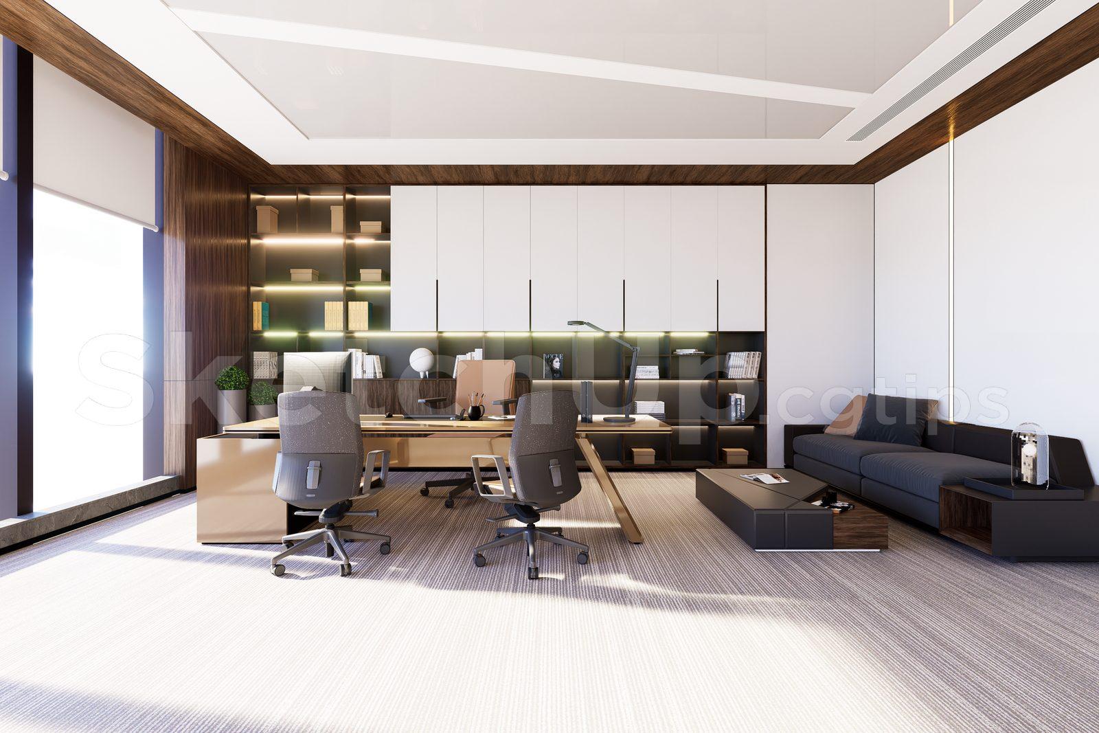 Director Office Interior