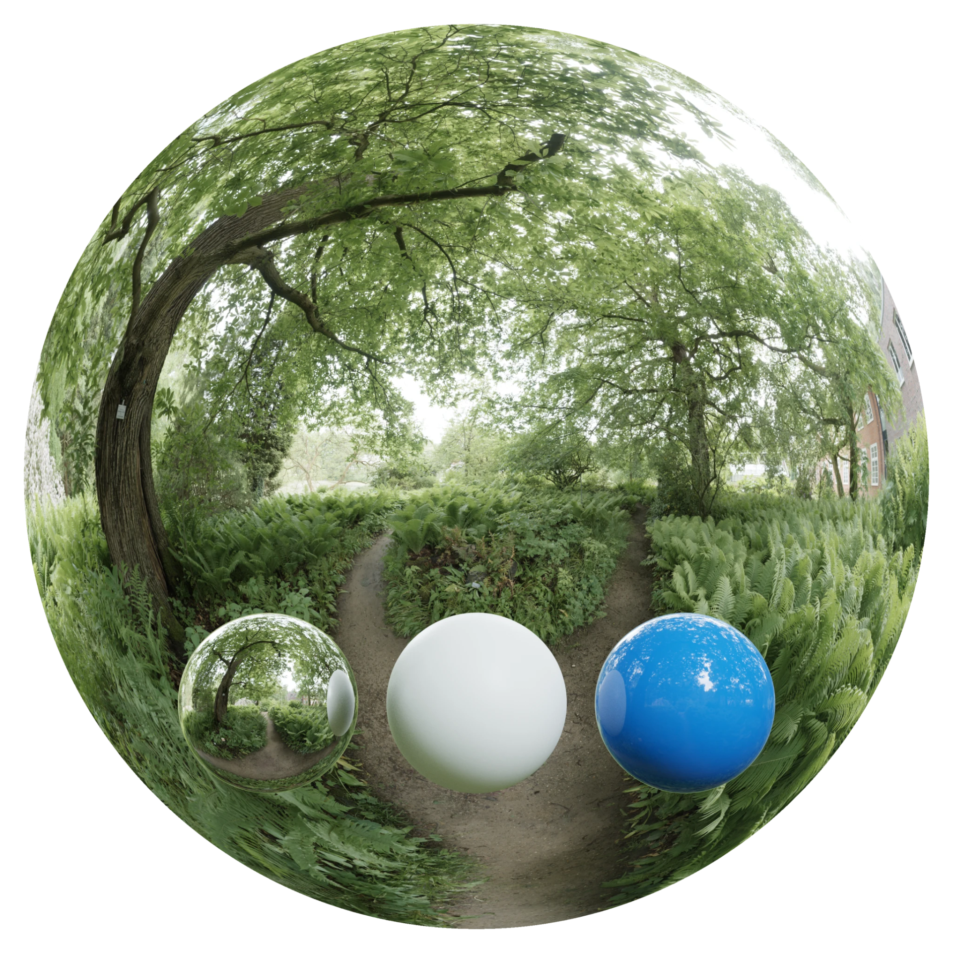 Day Environment HDRI 015