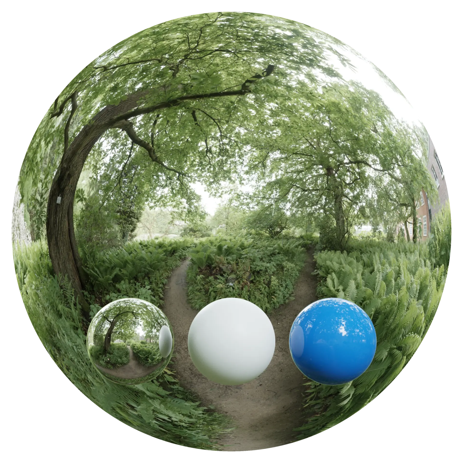 Day Environment HDRI 015
