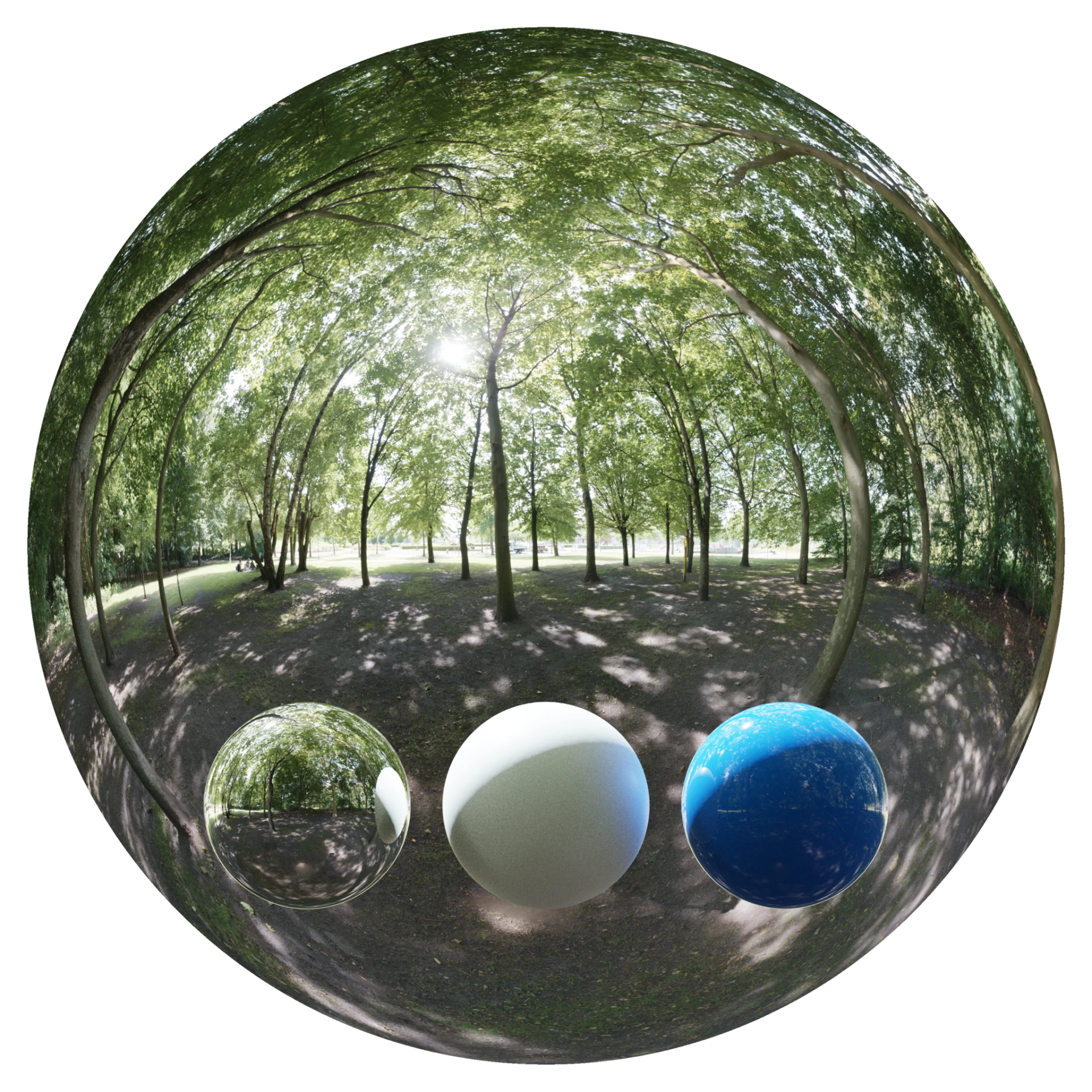 Day Environment HDRI 003