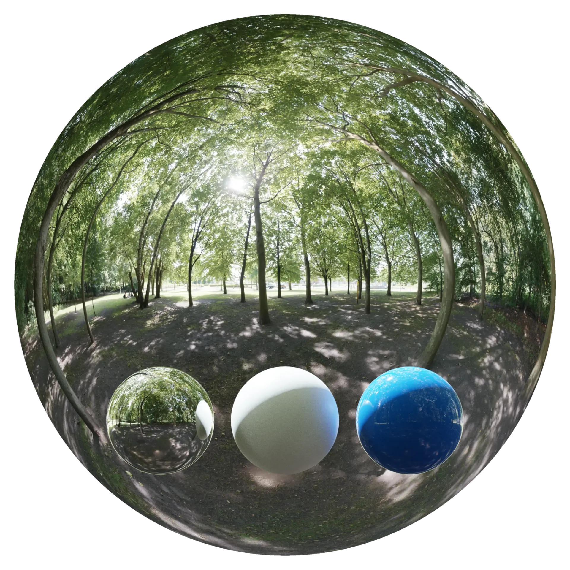 Day Environment HDRI 003