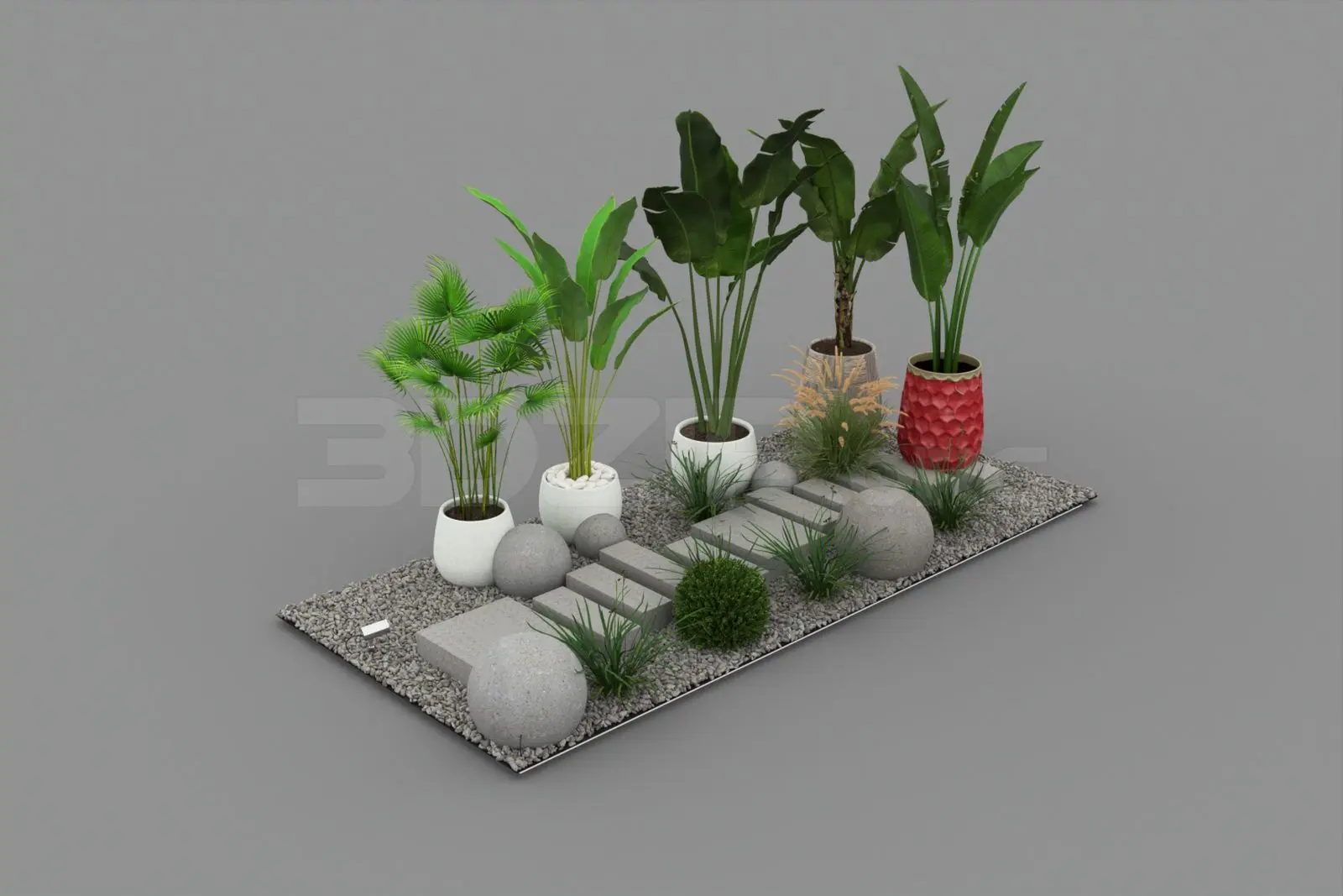 Plant