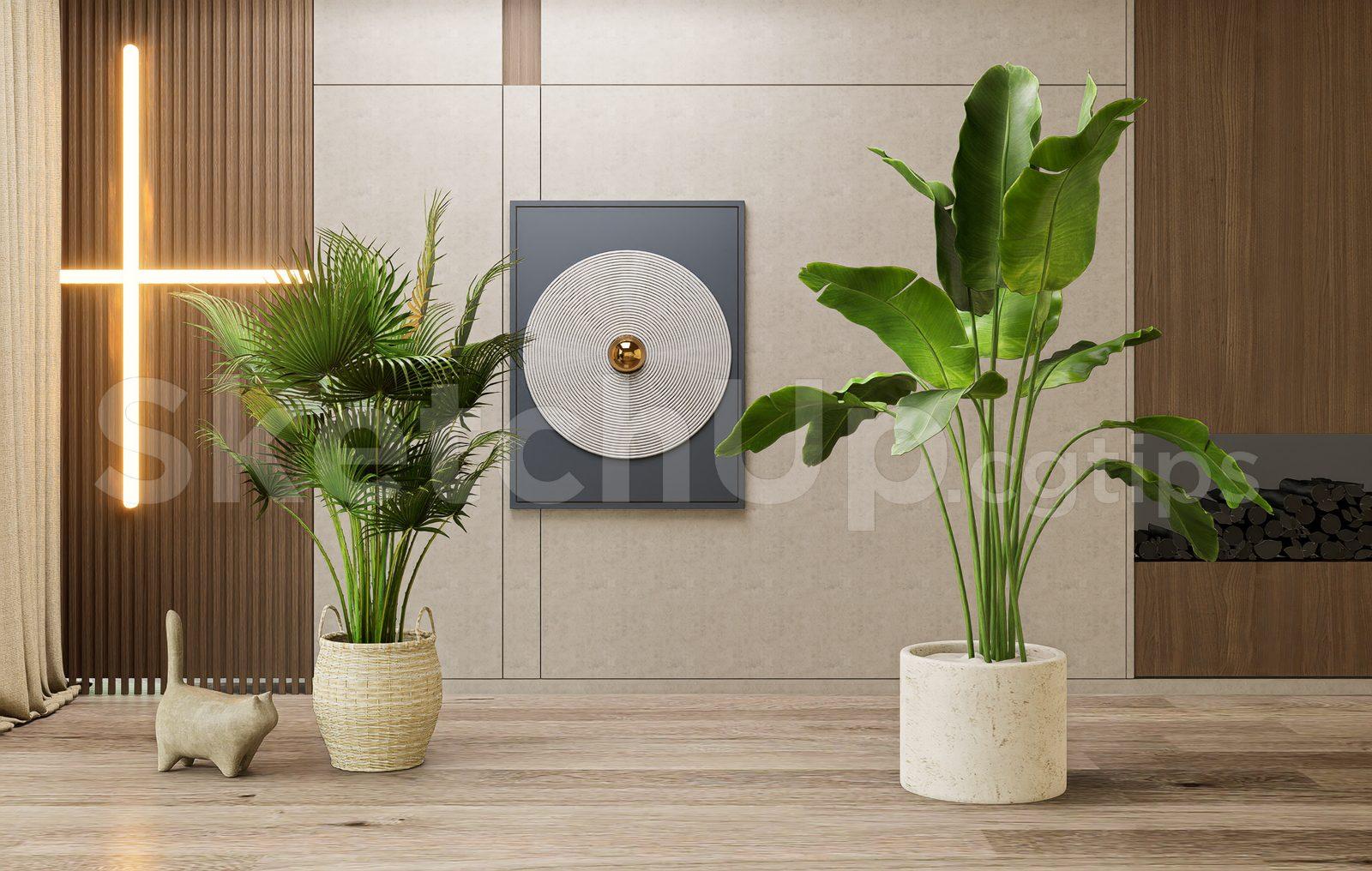 Plant