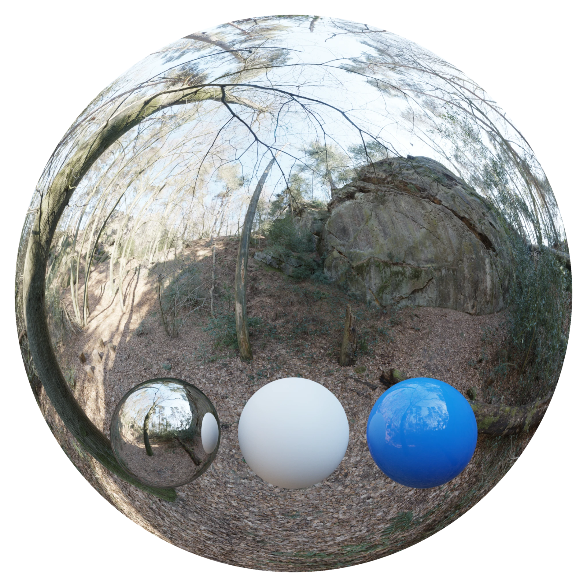 Day Environment HDRI 006