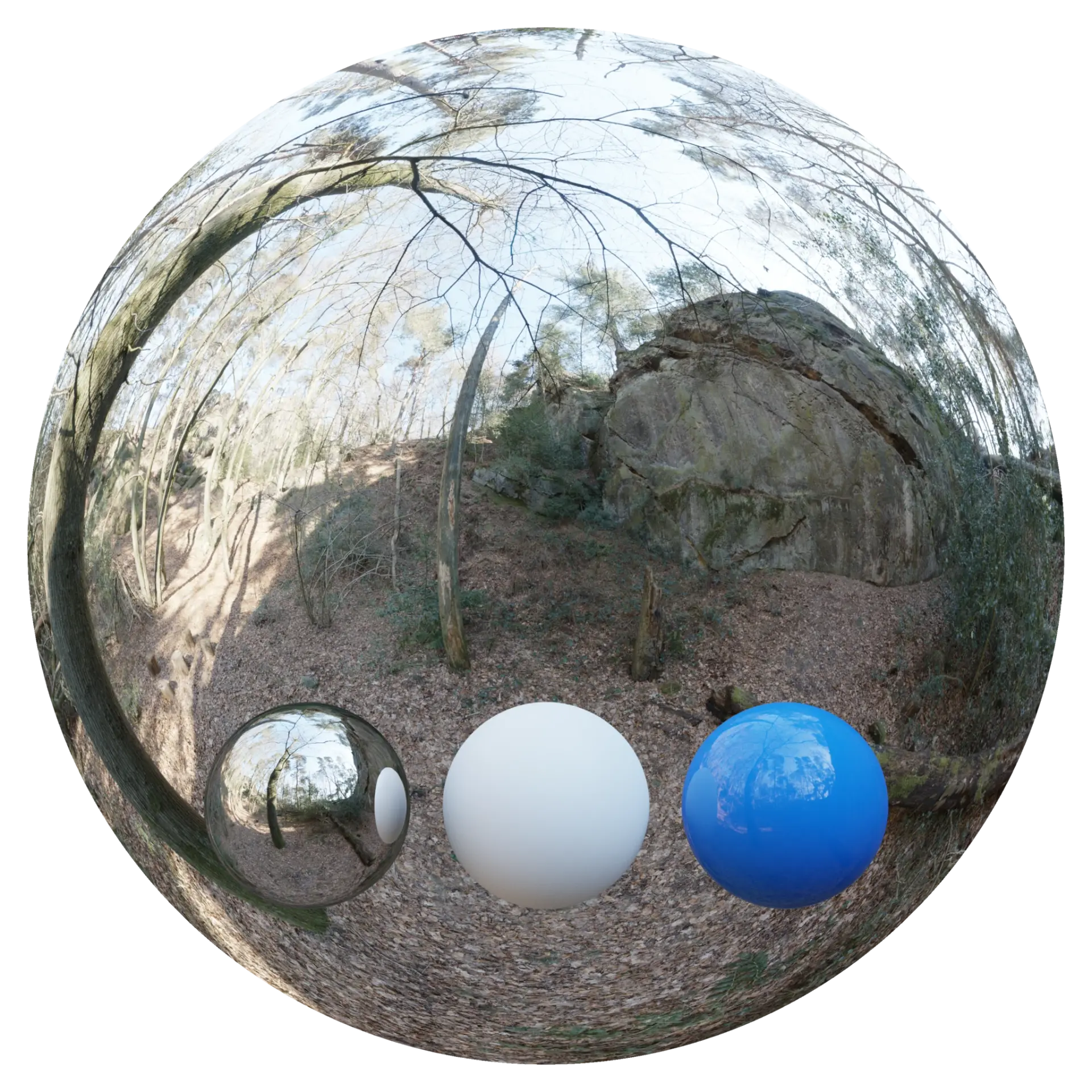 Day Environment HDRI 006
