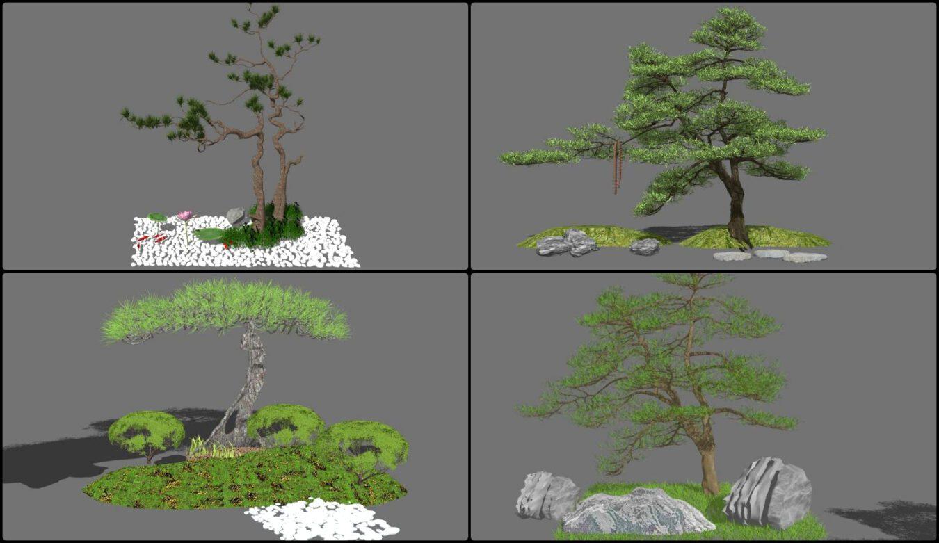 Bonsai Tree