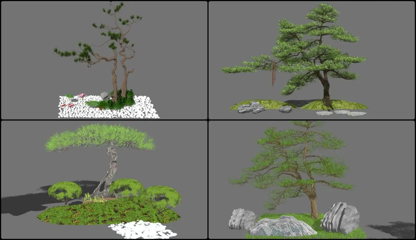 Bonsai Tree