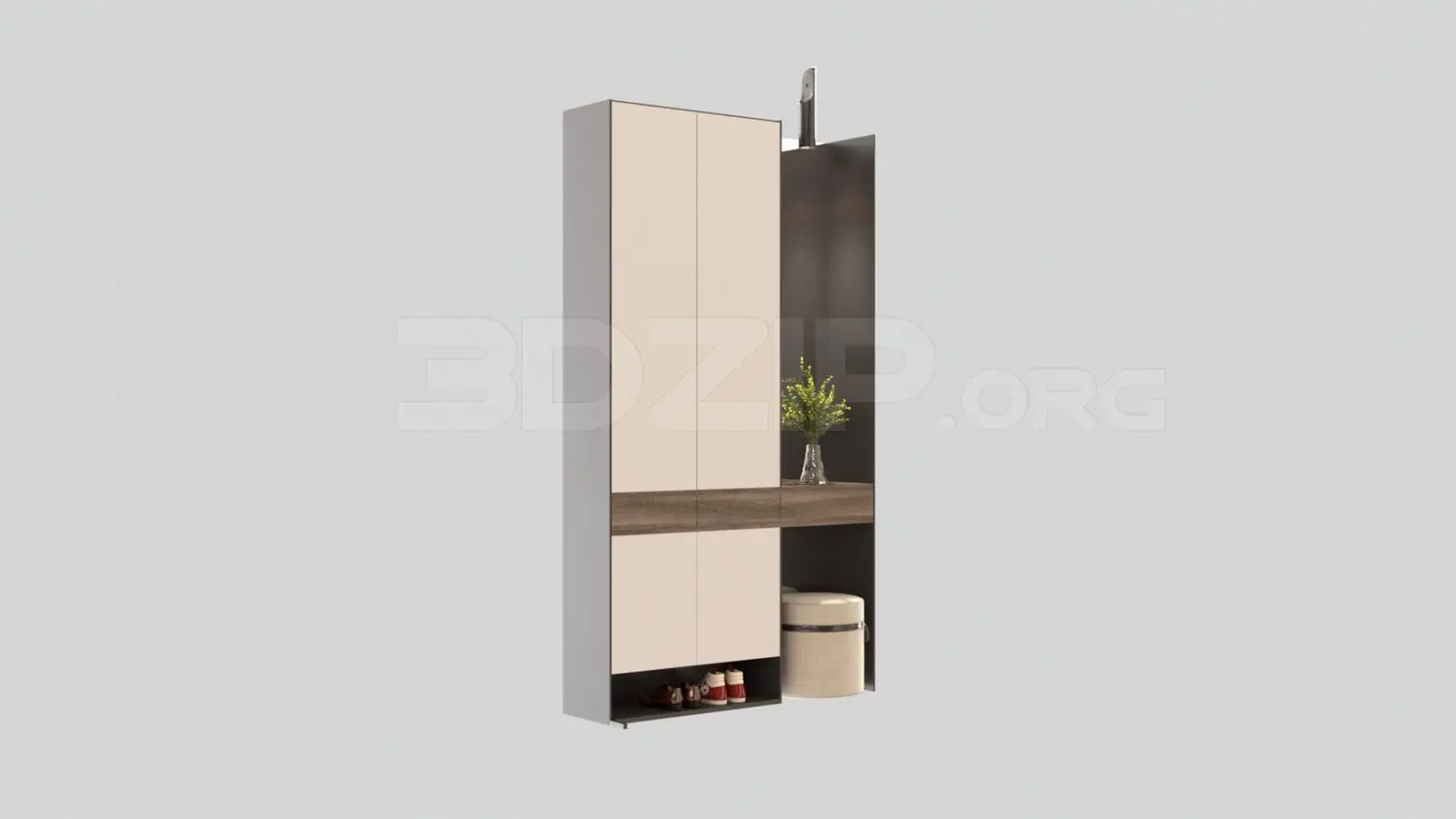Shoe Cabinet
