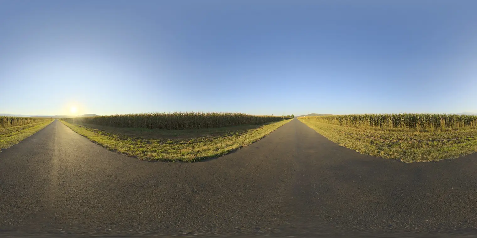 Mealie Road