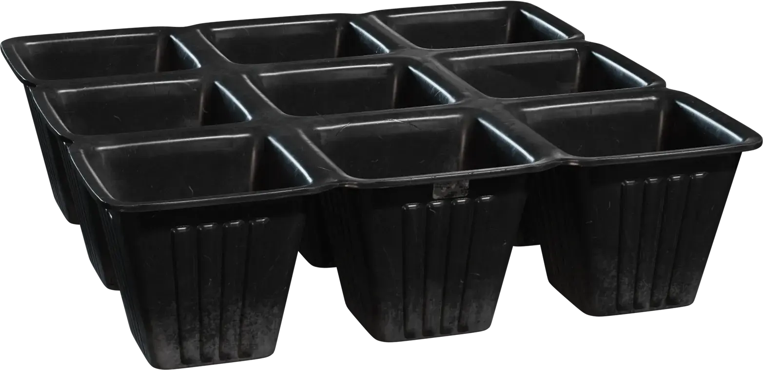 Seedling Tray 1