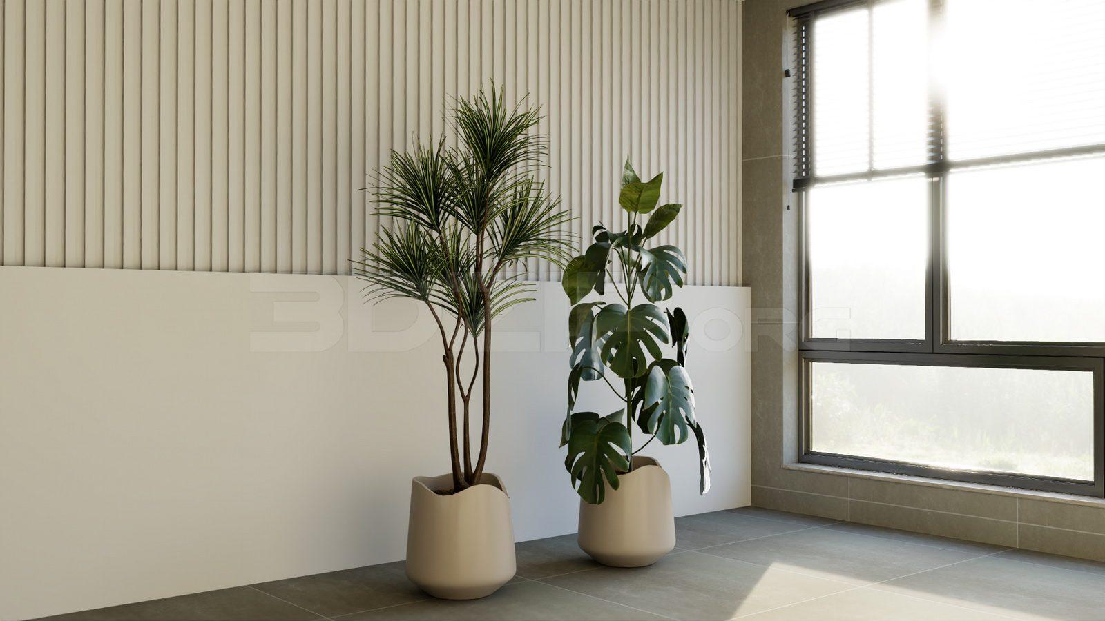 Plant