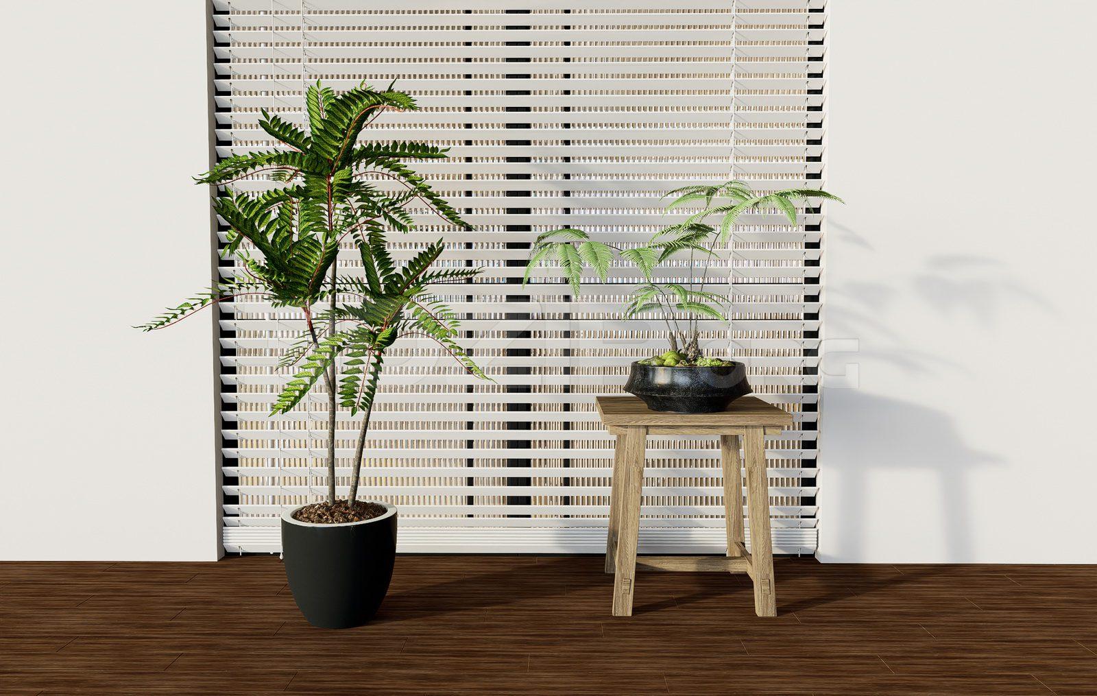 Decorative Set