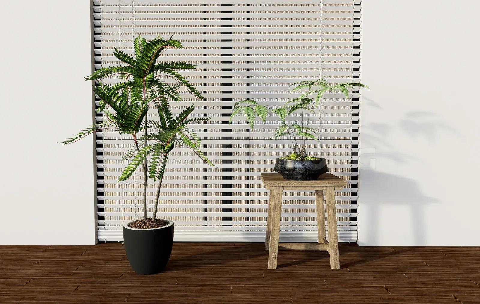 Decorative Set