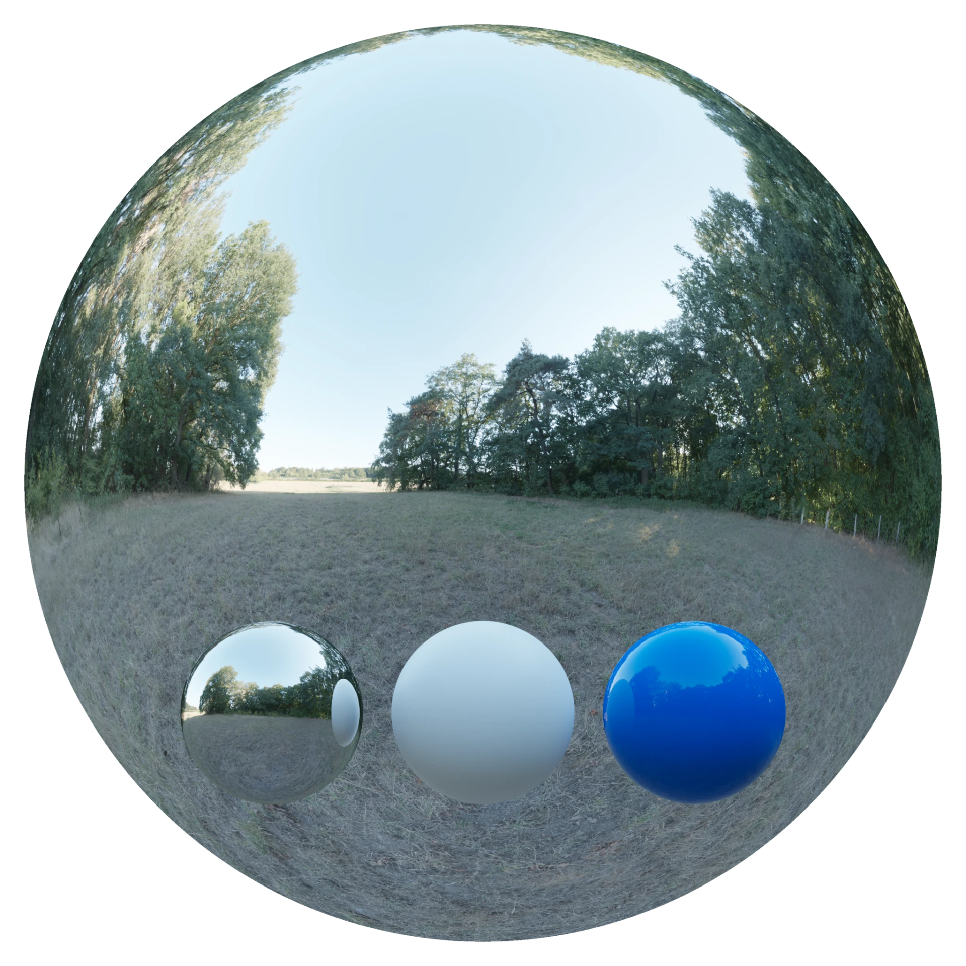 Day Environment HDRI 017