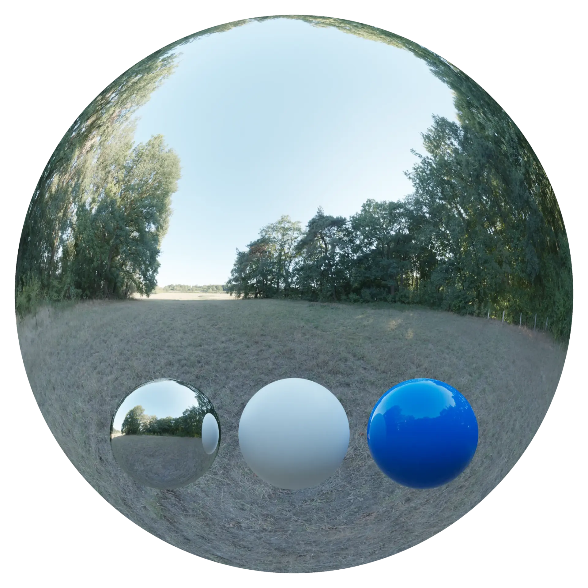 Day Environment HDRI 017